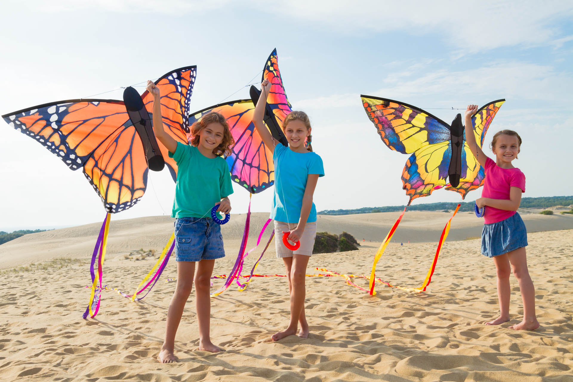 25 Butterfly Kite
